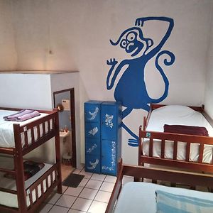 Bed 8-Bed Mixed Dormitory Room